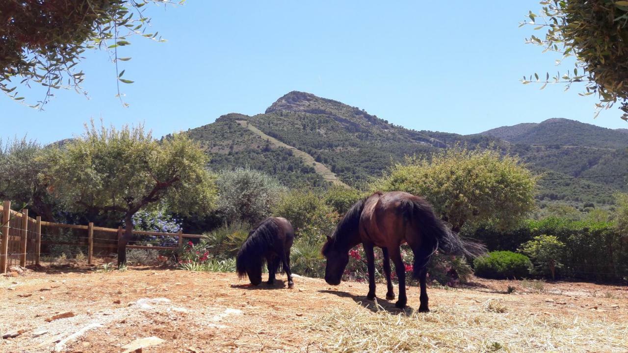 Alhaurín el Grande Finca Roca Vista, Adults Only מראה חיצוני תמונה